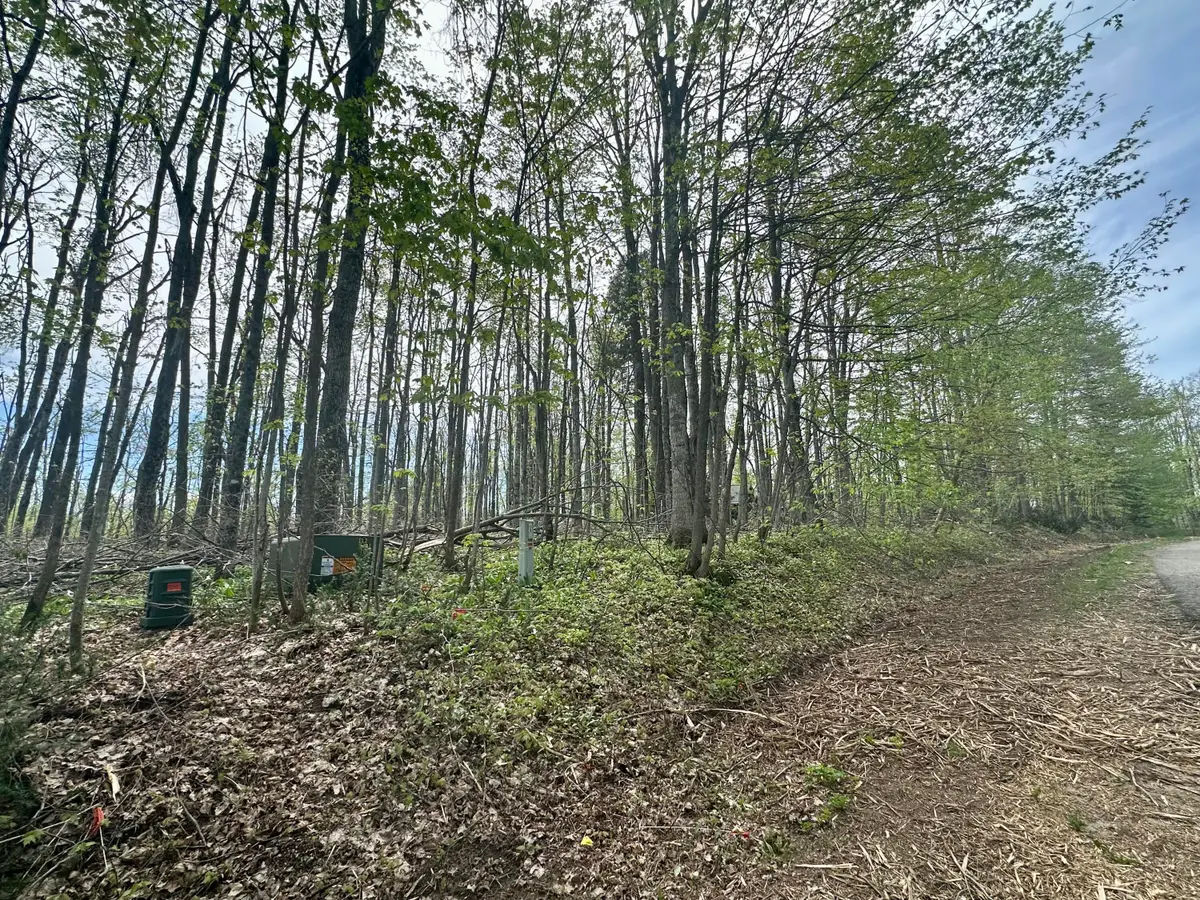 V/L Lot 16 Deer Woods Drive, Gaylord, MI 49735 - Image #1