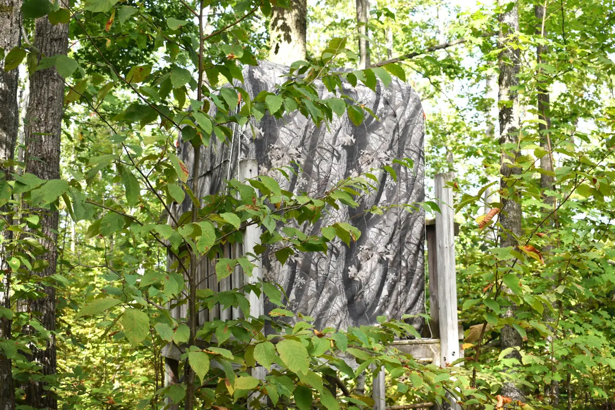 V/L 13AC Brudy Road, Wolverine, MI 49799 - Image #1