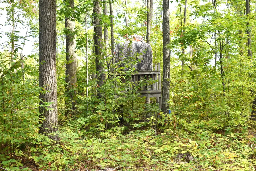 V/L 13AC Brudy Road, Wolverine, MI 49799 - Image #3