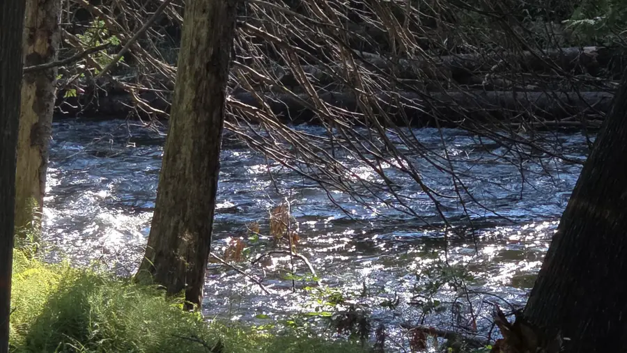 Parcel D 8993 S. Straits Highway, Wolverine, MI 49799 - Image #3