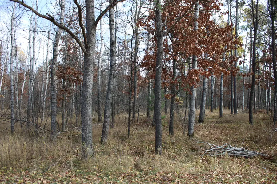 V/L L25-26 Little Mack Drive, Mio, MI 48647 - Image #3