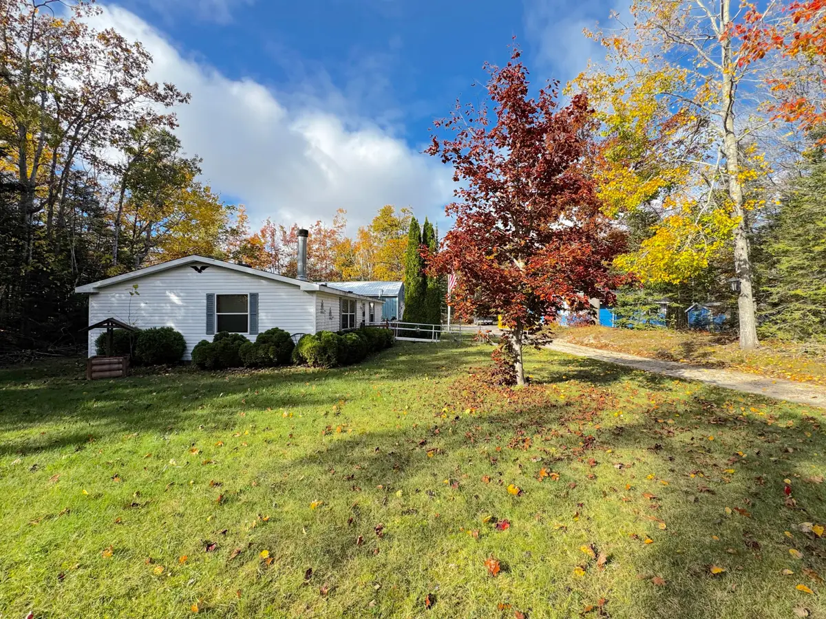 10285 Scanlon Drive, Cheboygan, MI 49721 - Image #1