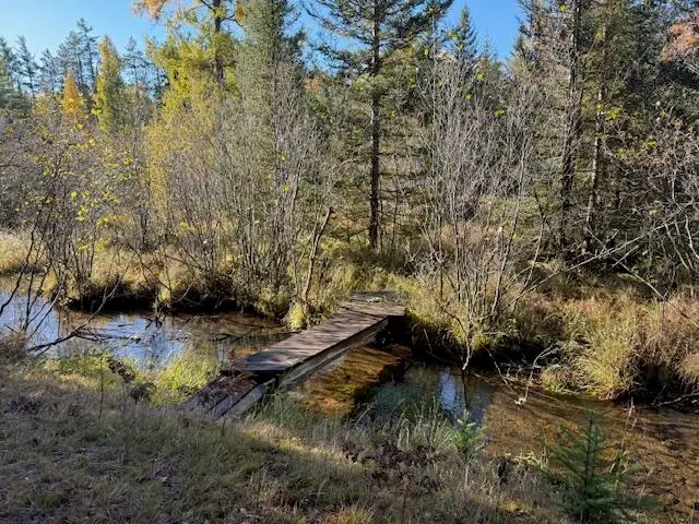 V/L 5.79A Long Shaw Trail, Grayling, MI 49738 - Image #1