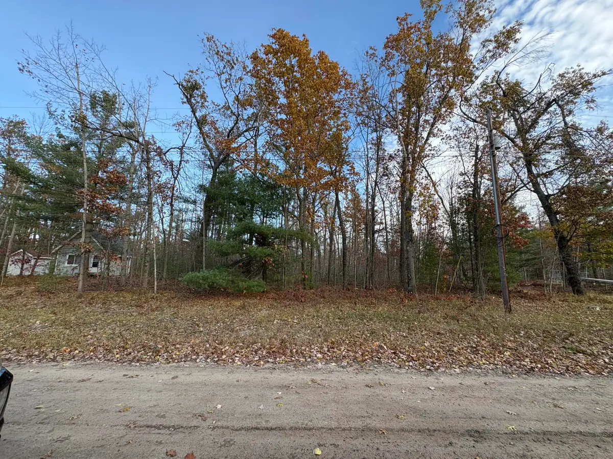 Lot #60 Francis Ave, Hillman, MI 49746 - Image #1