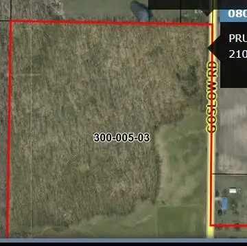 V/L 40AC Goslow Road, Gaylord, MI 49735 - Image #3