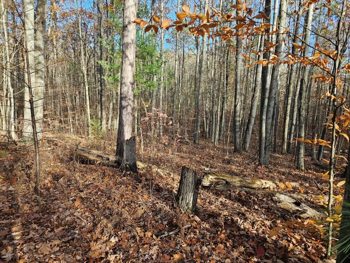 82 E Skyline Drive, Roscommon, MI 48653 - #1