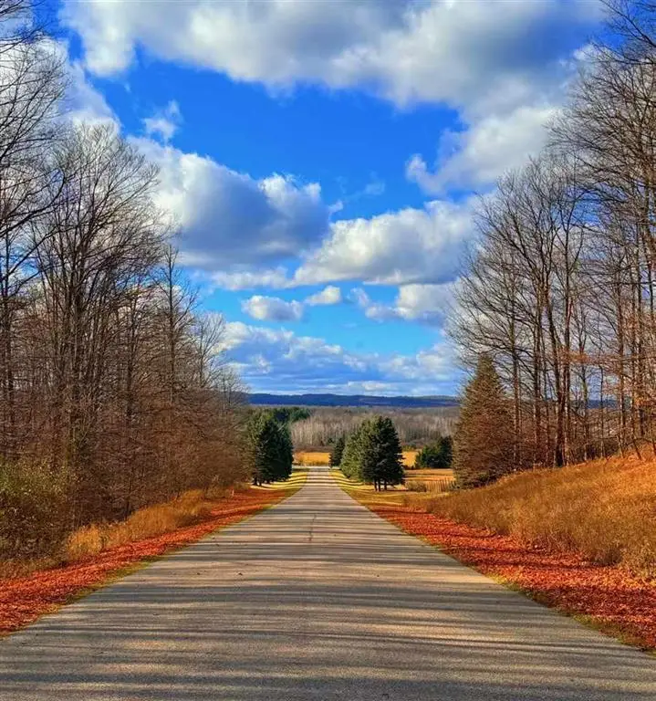 10 Mount Vernon Hills Drive, Vanderbilt, MI 49795 - Image #1