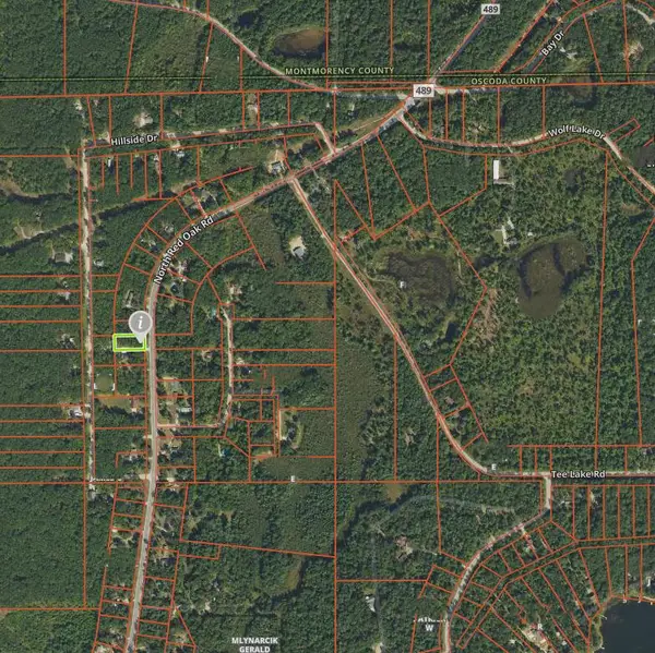 5839 N Red Oak Road, Lewiston, MI 49756