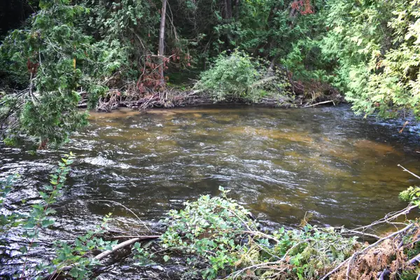 Parcel B 8993 S. Straits Highway, Wolverine, MI 49799