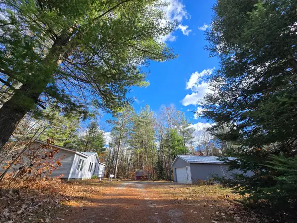 156 N Dip Drive, Mio, MI 48647