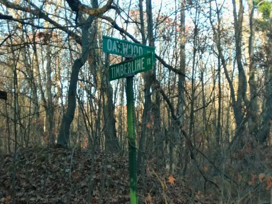 9579 E Timberline Trail, Reed City, MI 49677 - Image #2