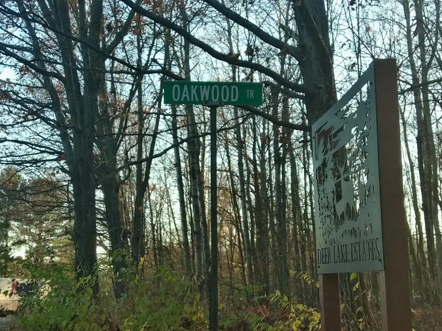 9579 E Timberline Trail, Reed City, MI 49677 - Image #3