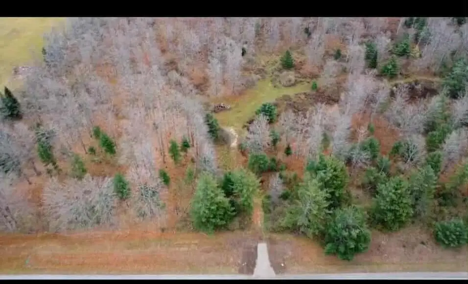 V/L 38ac N M-65 Highway, Curran, MI 48728 - Image #1