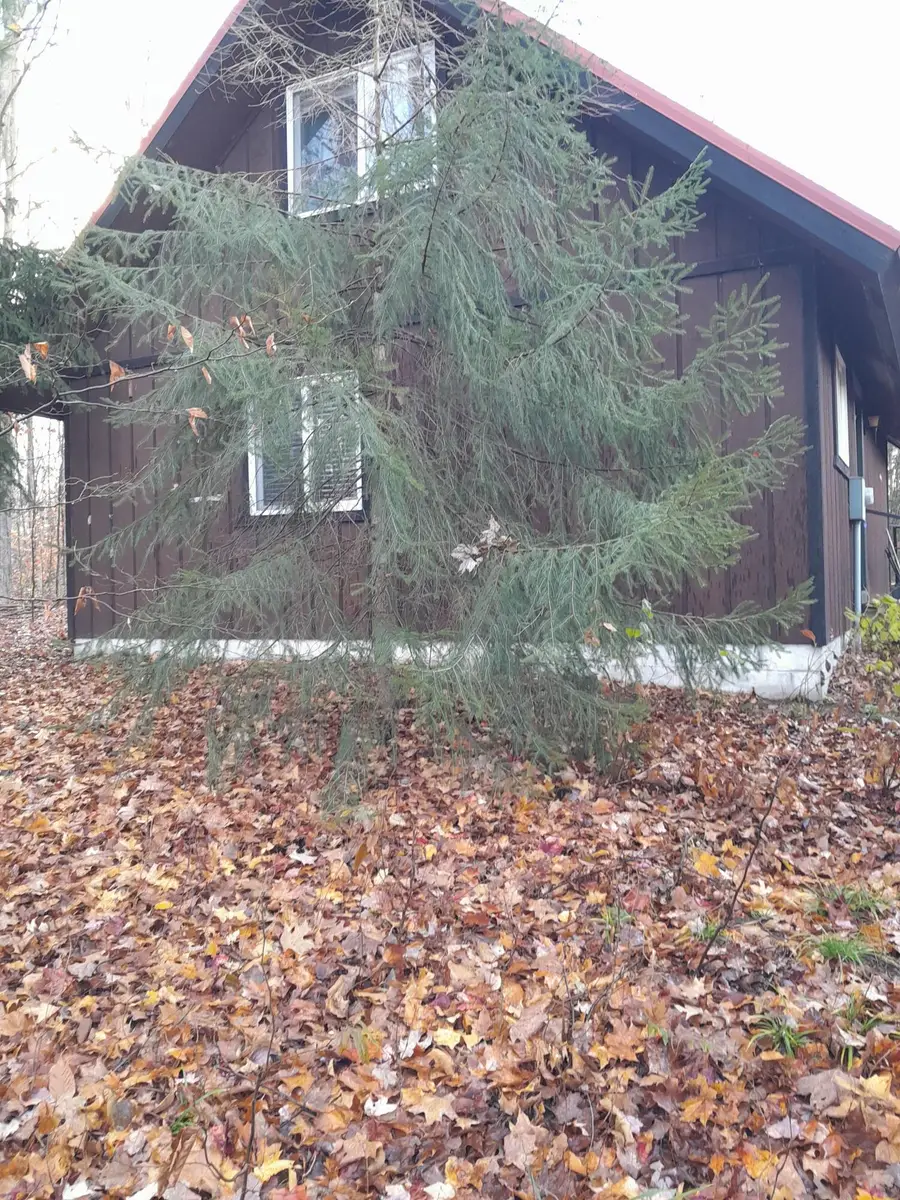 5201 Terreton Circle, Elmira, MI 49730 - Image #2