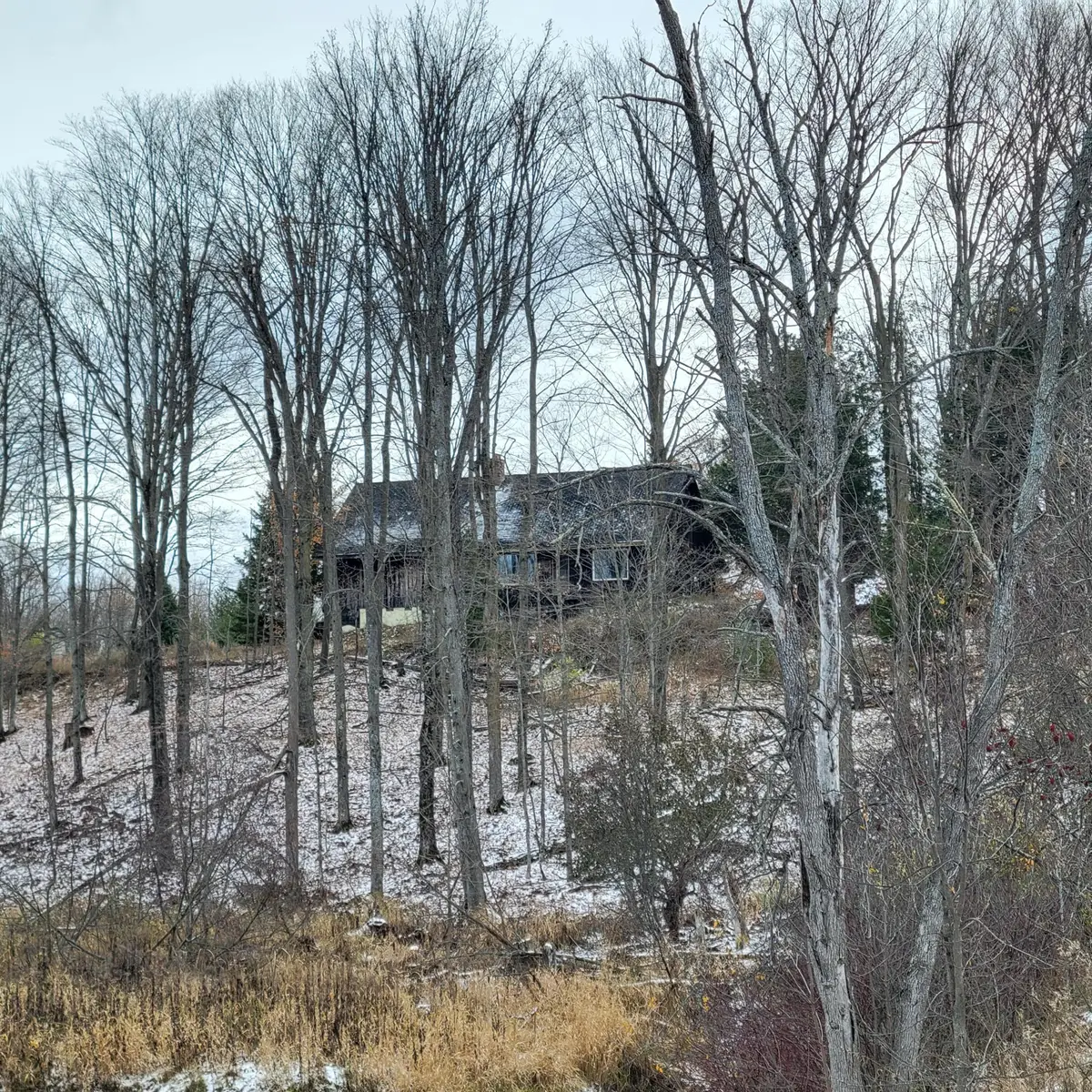 8435 Wolf Creek Road, Herron, MI 49744 - Image #1