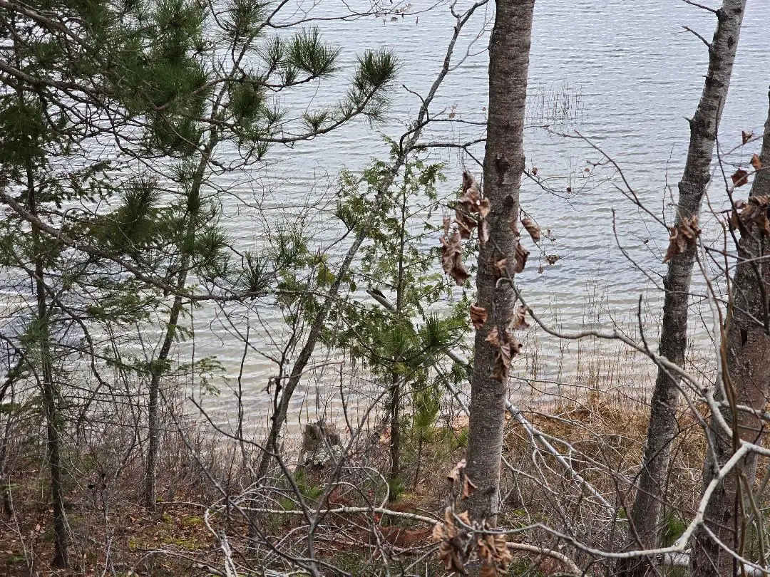 V/L 0.25AC Lost Lake Road, Hawks, MI 49743 - Image #1