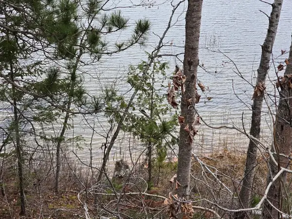 V/L 0.25AC Lost Lake Road, Hawks, MI 49743