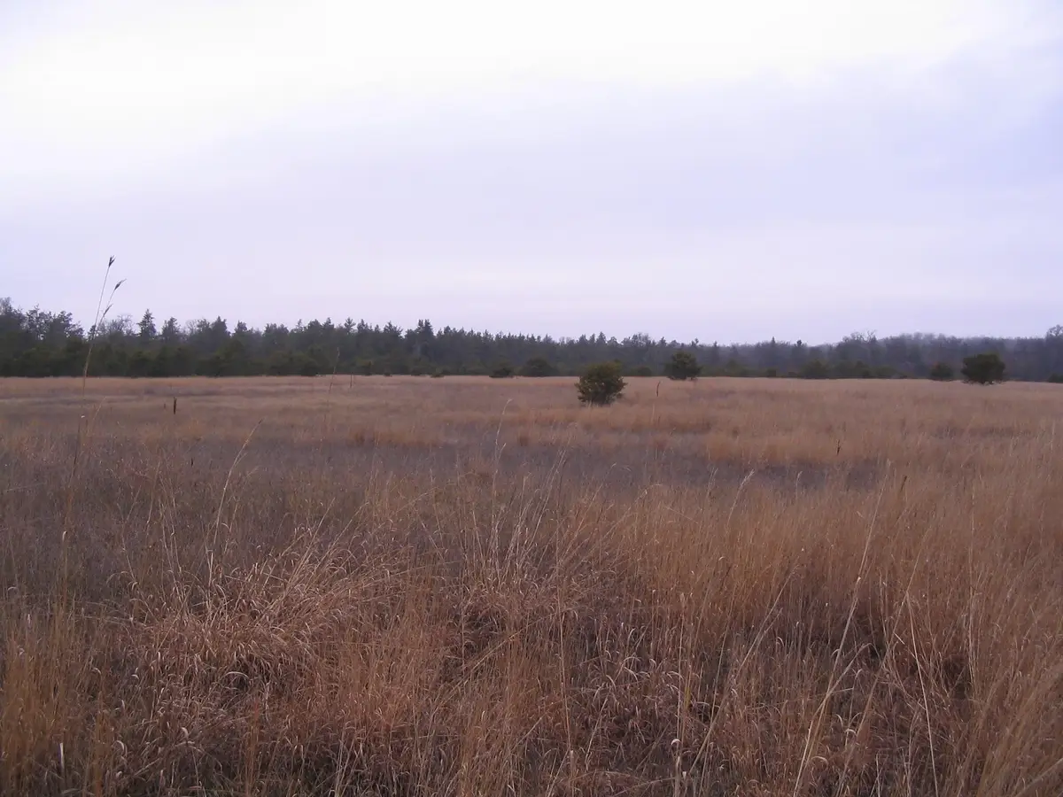 Parcel 13 N M-18, Roscommon, MI 48653 - Image #1