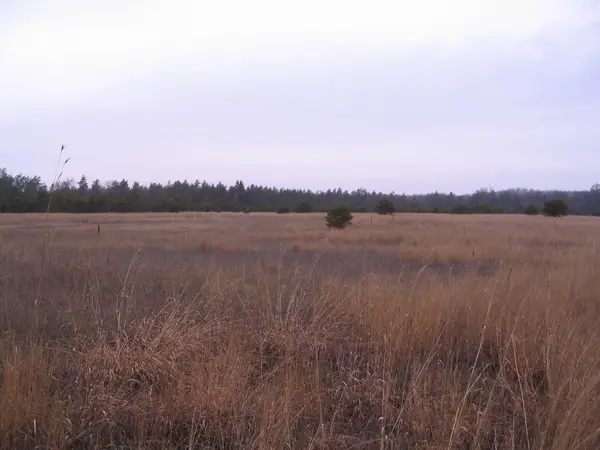 Parcel 13 N M-18, Roscommon, MI 48653