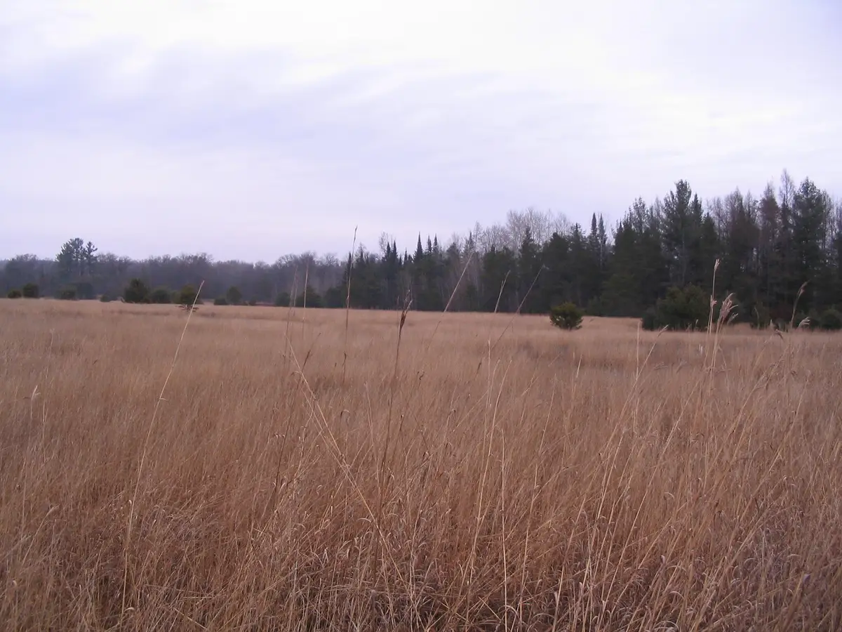 Parcel 14 N M-18, Roscommon, MI 48653 - Image #1