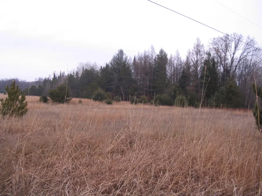 Parcel 14 N M-18, Roscommon, MI 48653 - Image #3