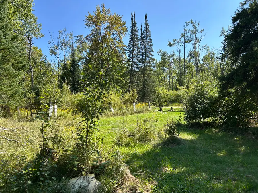 16990 Moores Landing Road, Lachine, MI 49753 - Image #3