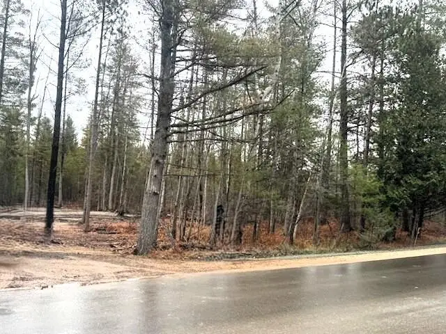 V/L L71-75 Evergreen Drive, Grayling, MI 49738 - Image #3