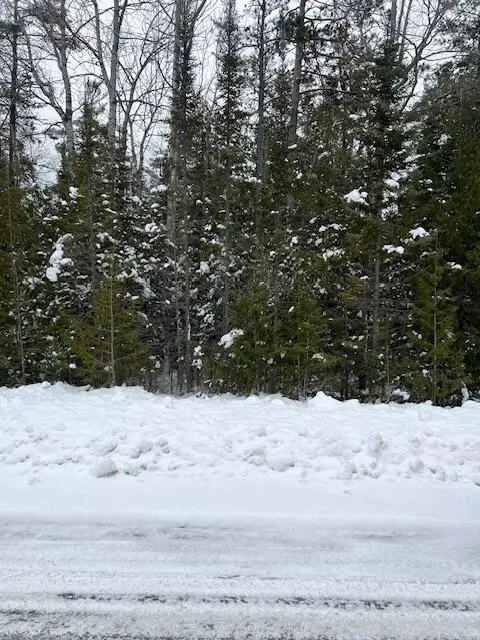 V/L Lot 69 E Grand Lake Road, Presque Isle, MI 49777 - Image #3