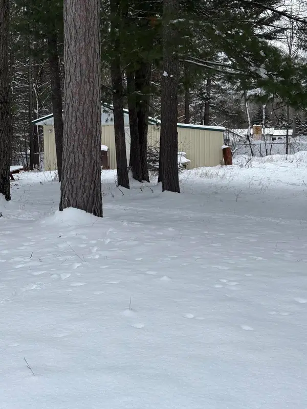 2472 Fawn Court, St. Helen, MI 48656