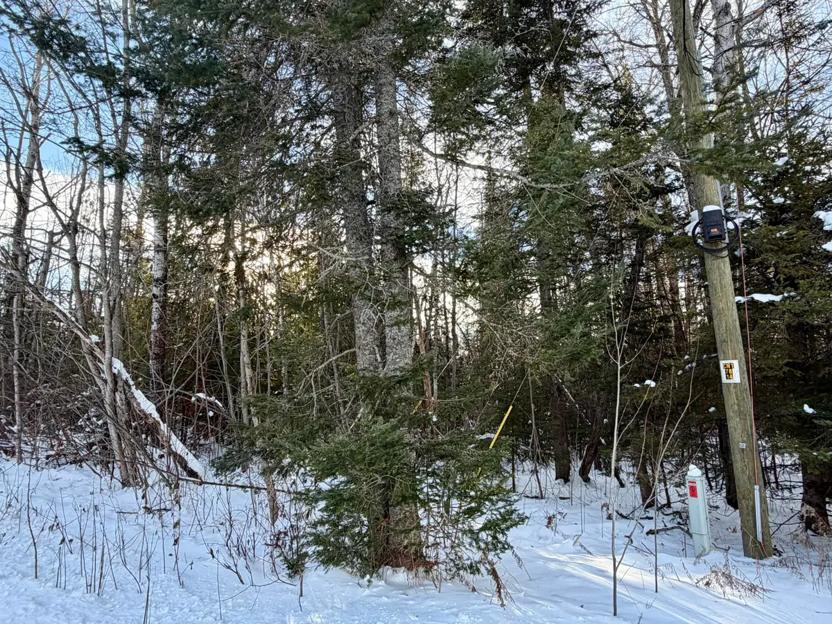 15319 Harmony Lane, Cheboygan, MI 49721 - Image #1