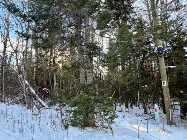 15319 Harmony Lane, Cheboygan, MI 49721