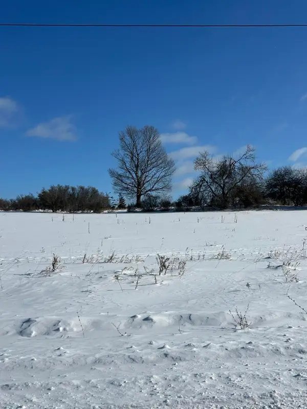 19.06 acre S County Line Rd Road, Onaway, MI 49765