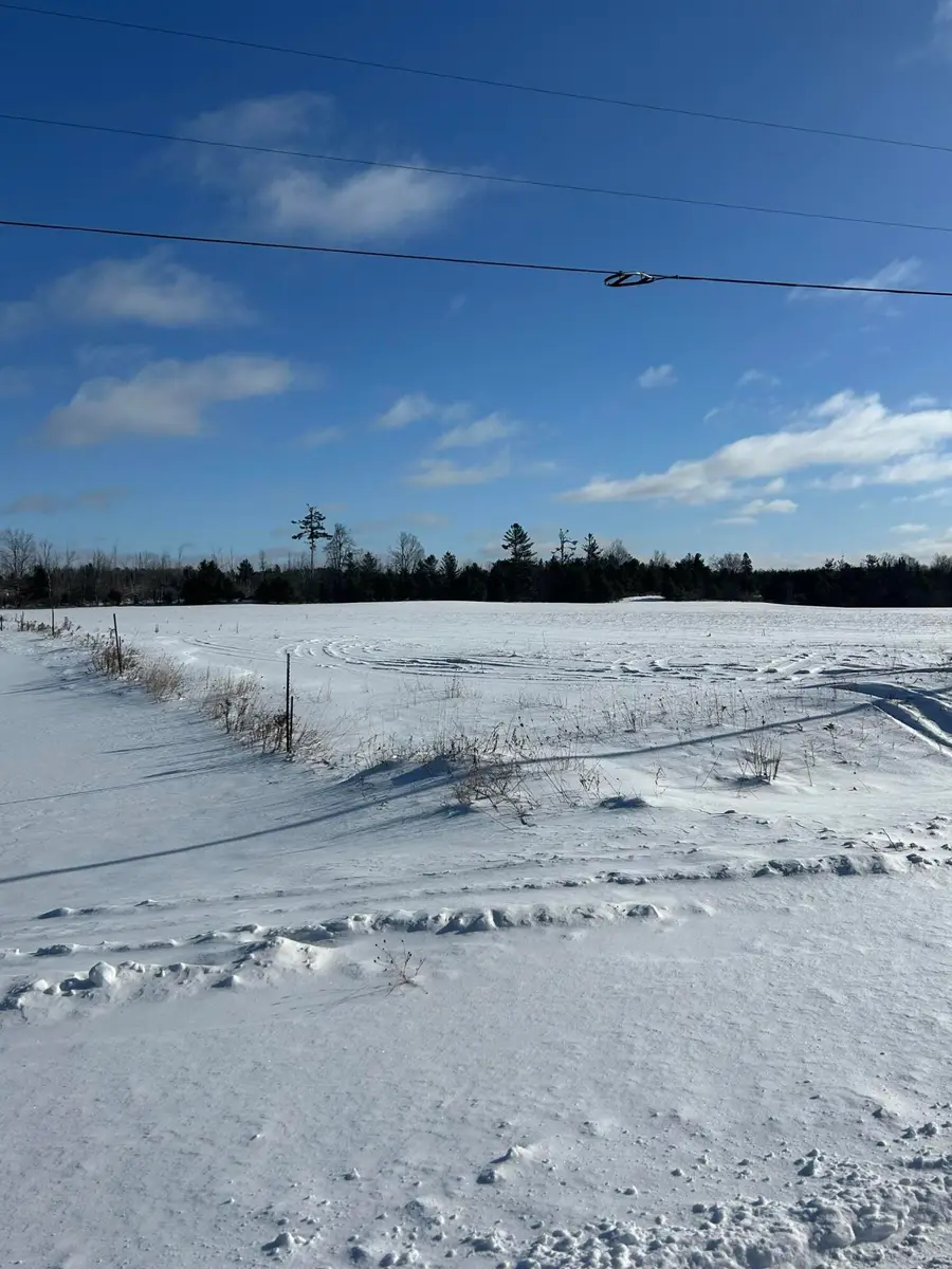 19.06 acre S County Line Rd Road, Onaway, MI 49765 - Image #3