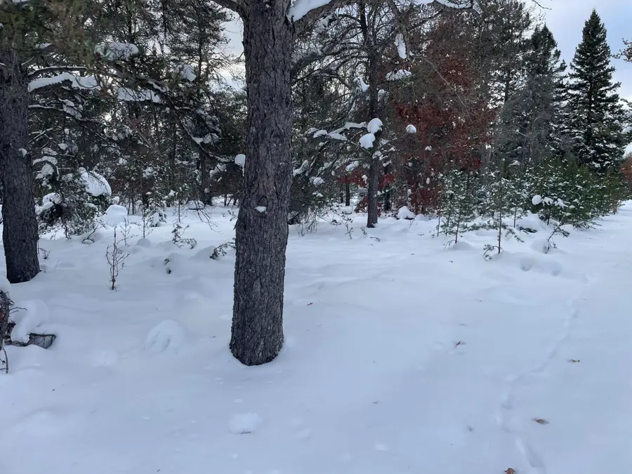 1486 S Stephan Bridge Road, Grayling, MI 49738 - Image #3