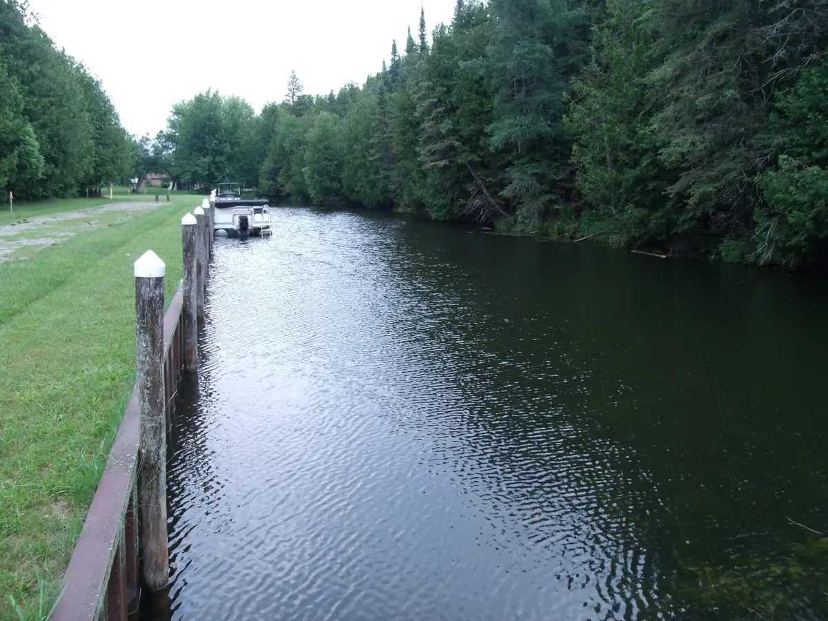 V/L Site 9 Cedar Springs Lane, Indian River, MI 49749 - #1