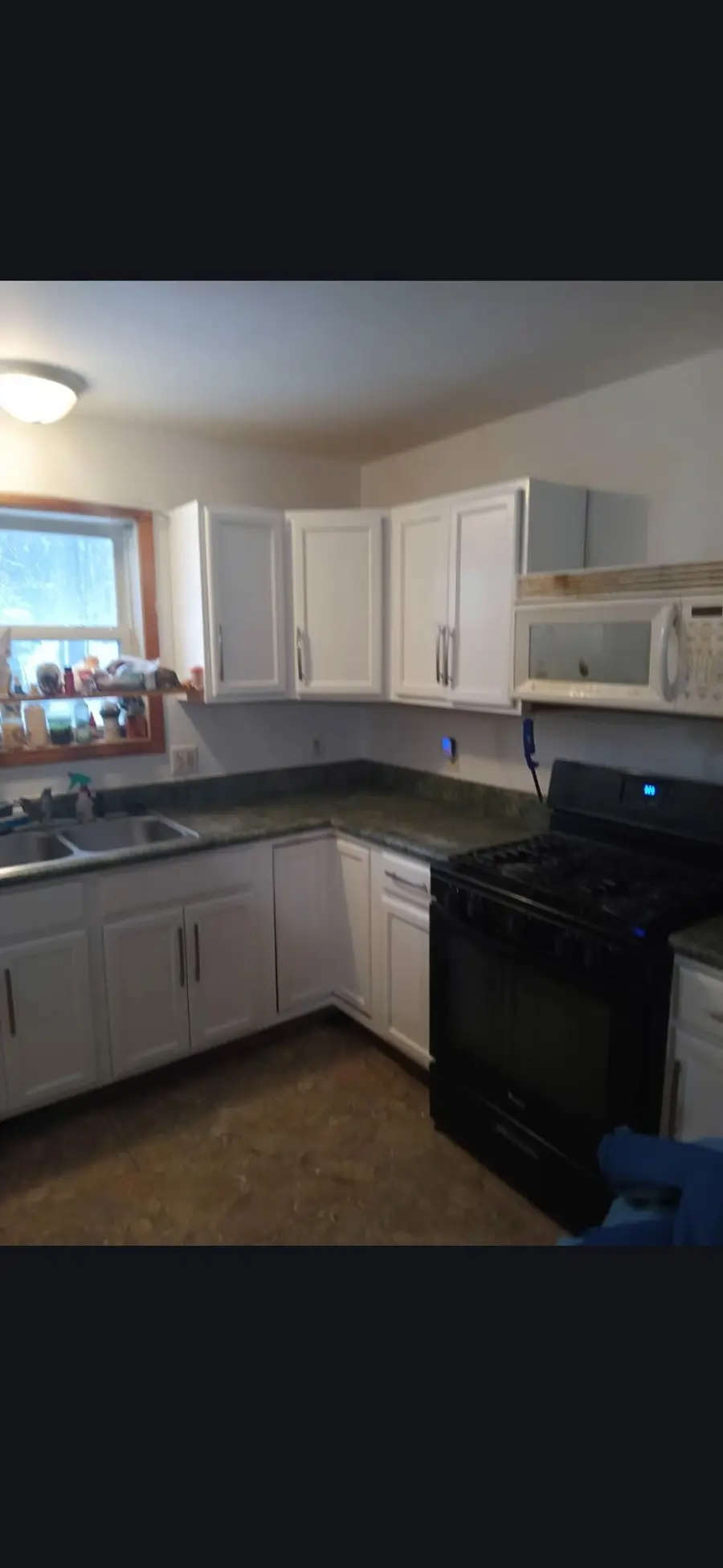 4320 Spirit Drive, Indian River, MI 49749 - #3