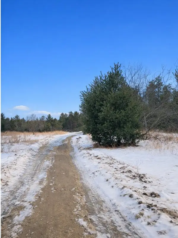 Parcel 3 Sturgis Road, Atlanta, MI 49709