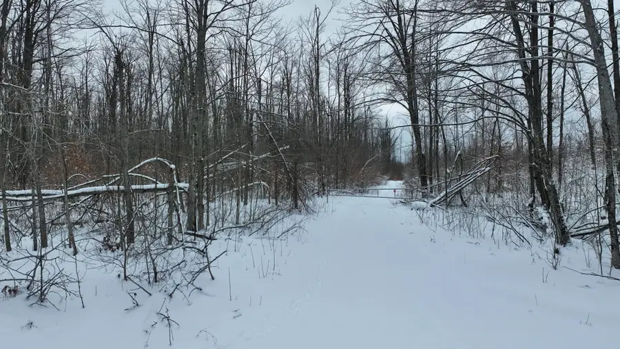 V/L 100 AC Gamble Road, Atlanta, MI 49709 - #2