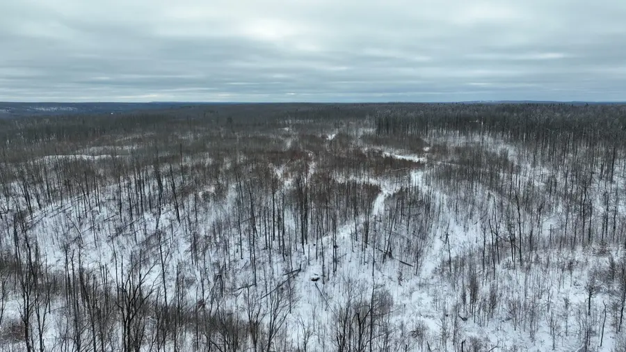 V/L 100 AC Gamble Road, Atlanta, MI 49709 - #3