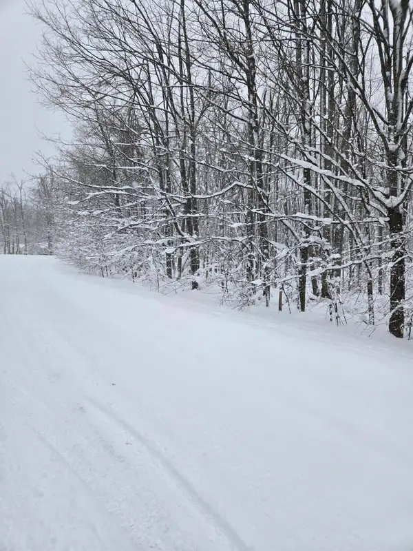 Lot# 28 Mount Vernon Hills Drive, Vanderbilt, MI 49795