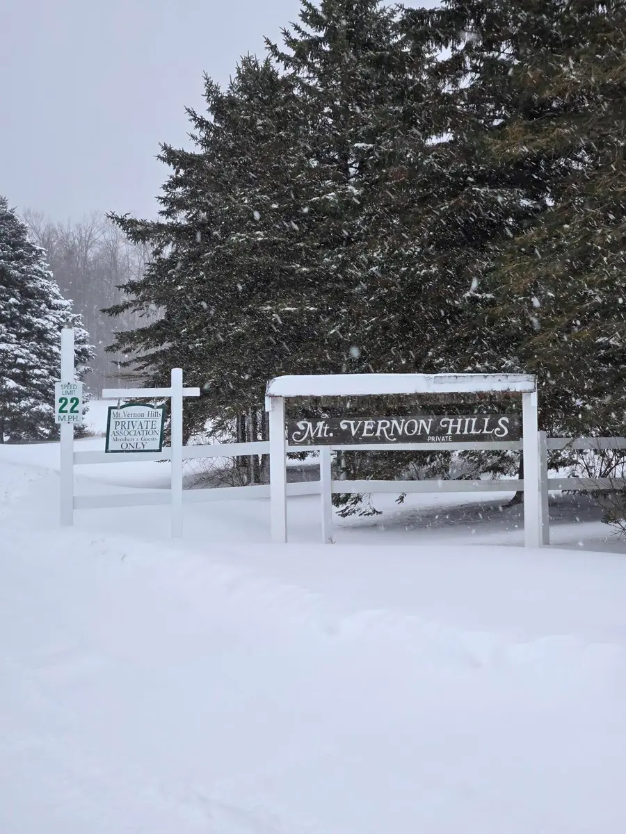 Lot# 28 Mount Vernon Hills Drive, Vanderbilt, MI 49795 - Image #3