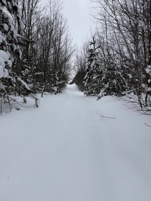 V/L 5 AC Little Lane Ne, Kalkaska, MI 49646