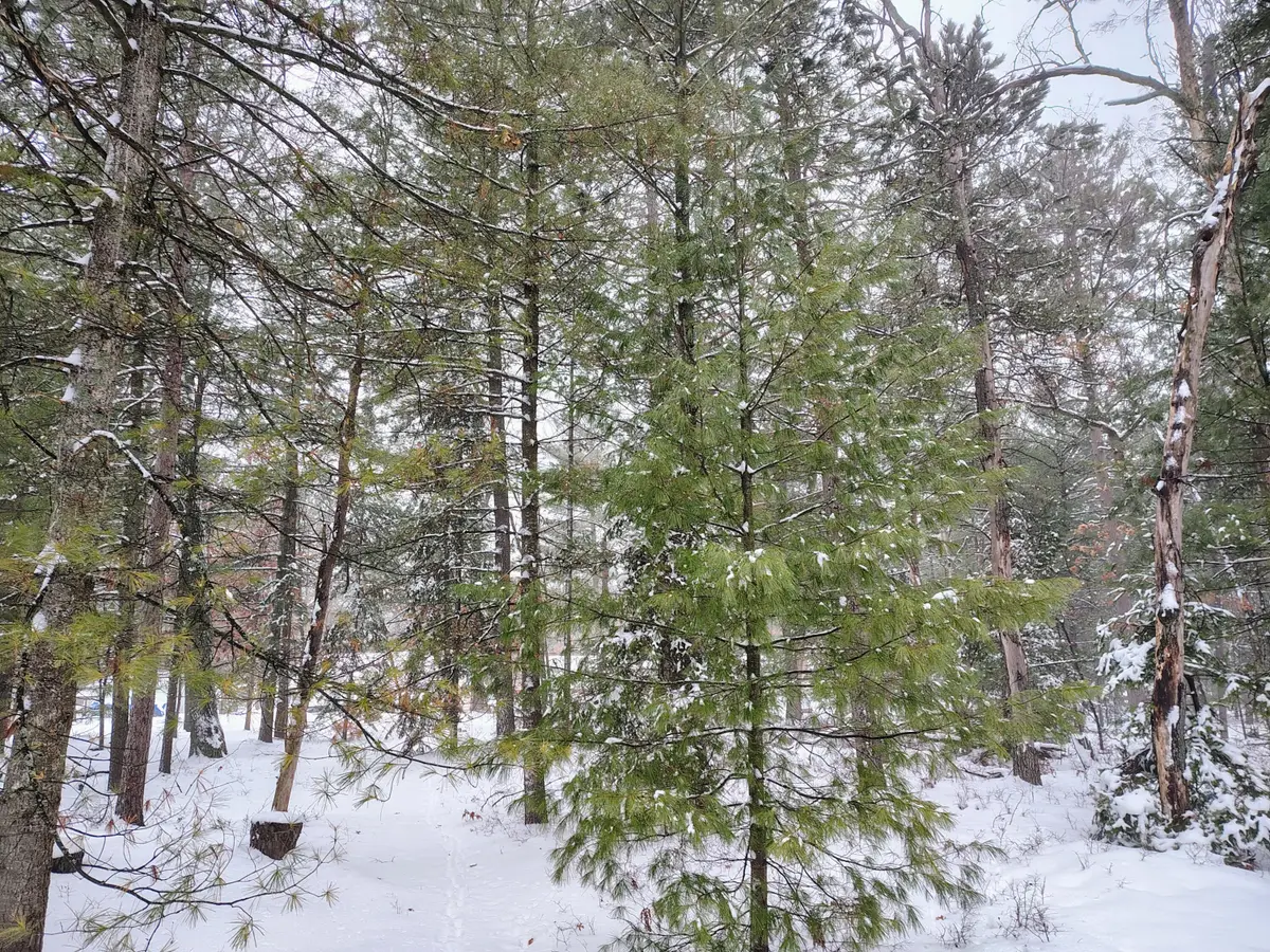 Lot 167 Deer Run Boulevard, Prudenville, MI 48651 - Image #1