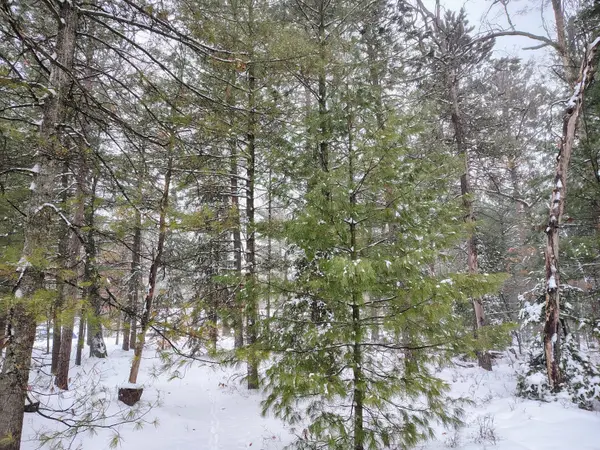 Lot 167 Deer Run Boulevard, Prudenville, MI 48651