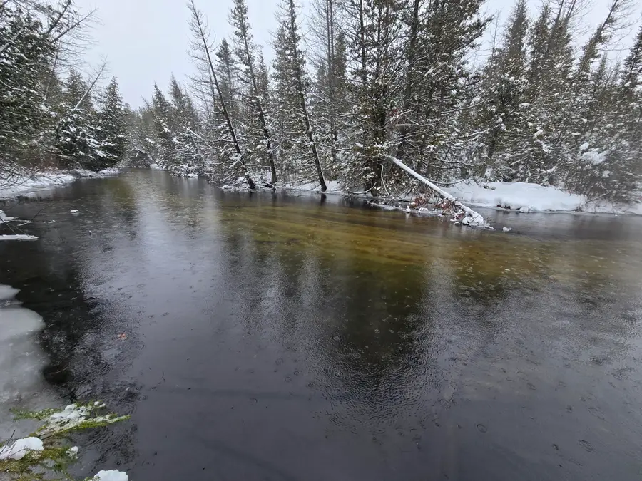 11280 Elk Drive, Atlanta, MI 49709 - Image #2