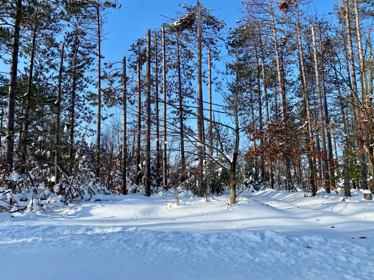 1840 Tree Farm Road, Gaylord, MI 49735 - Image #1