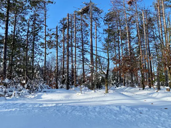 1840 Tree Farm Road, Gaylord, MI 49735