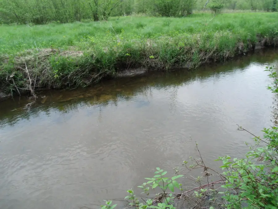 V/L 30 AC Spikehorn Trail, Indian River, MI 49749 - Image #3