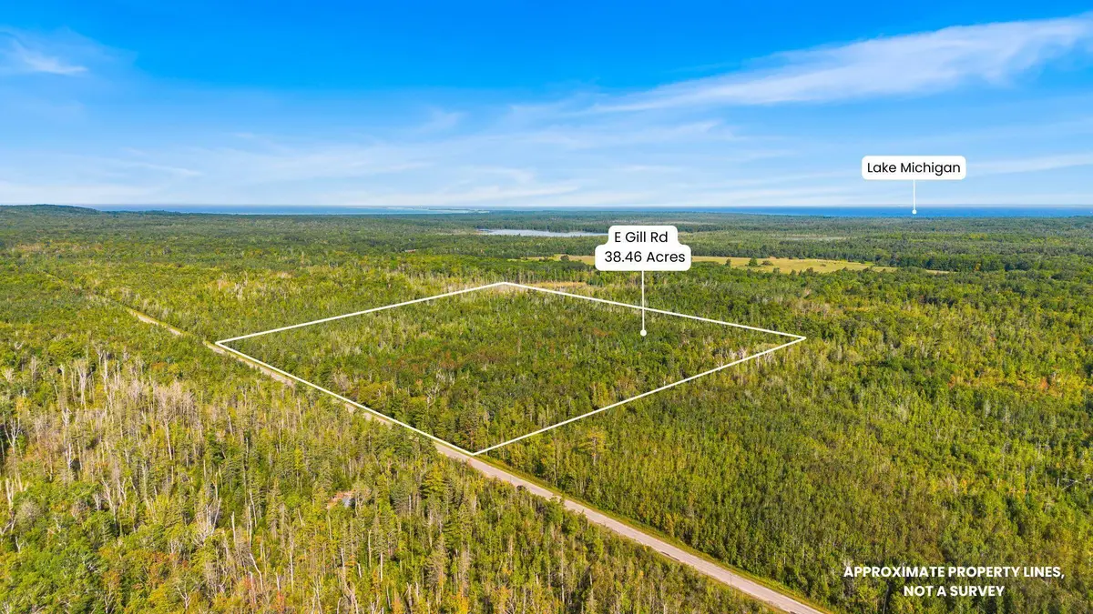 V/L 38.46A E Gill Road, Carp Lake, MI 49718 - #1