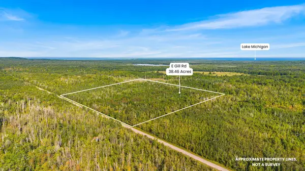 V/L 38.46A E Gill Road, Carp Lake, MI 49718
